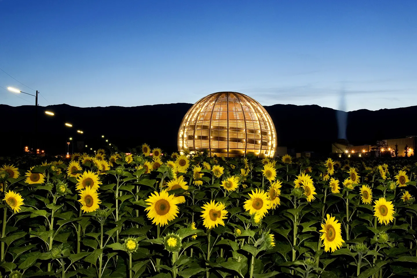 CERN Post-Career Break Fellowship