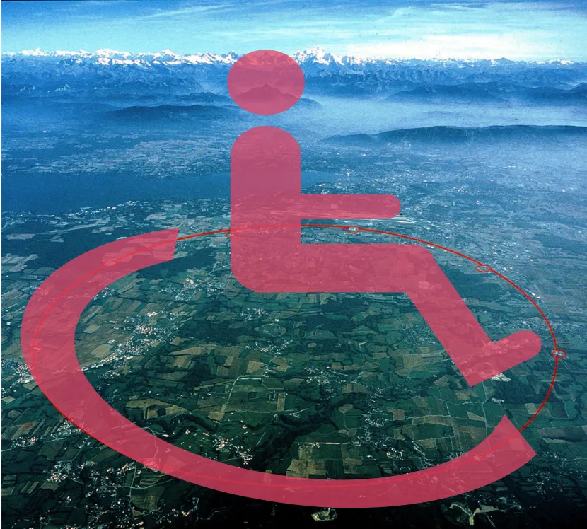 Disability Network